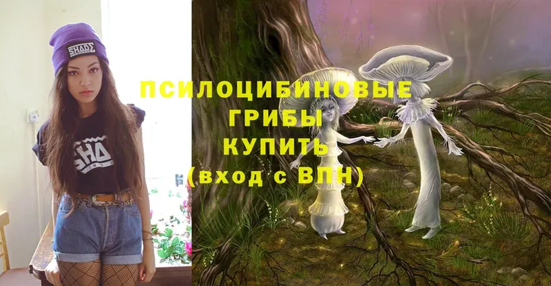 MEGA ссылки  Звенигород  Псилоцибиновые грибы Psilocybine cubensis 